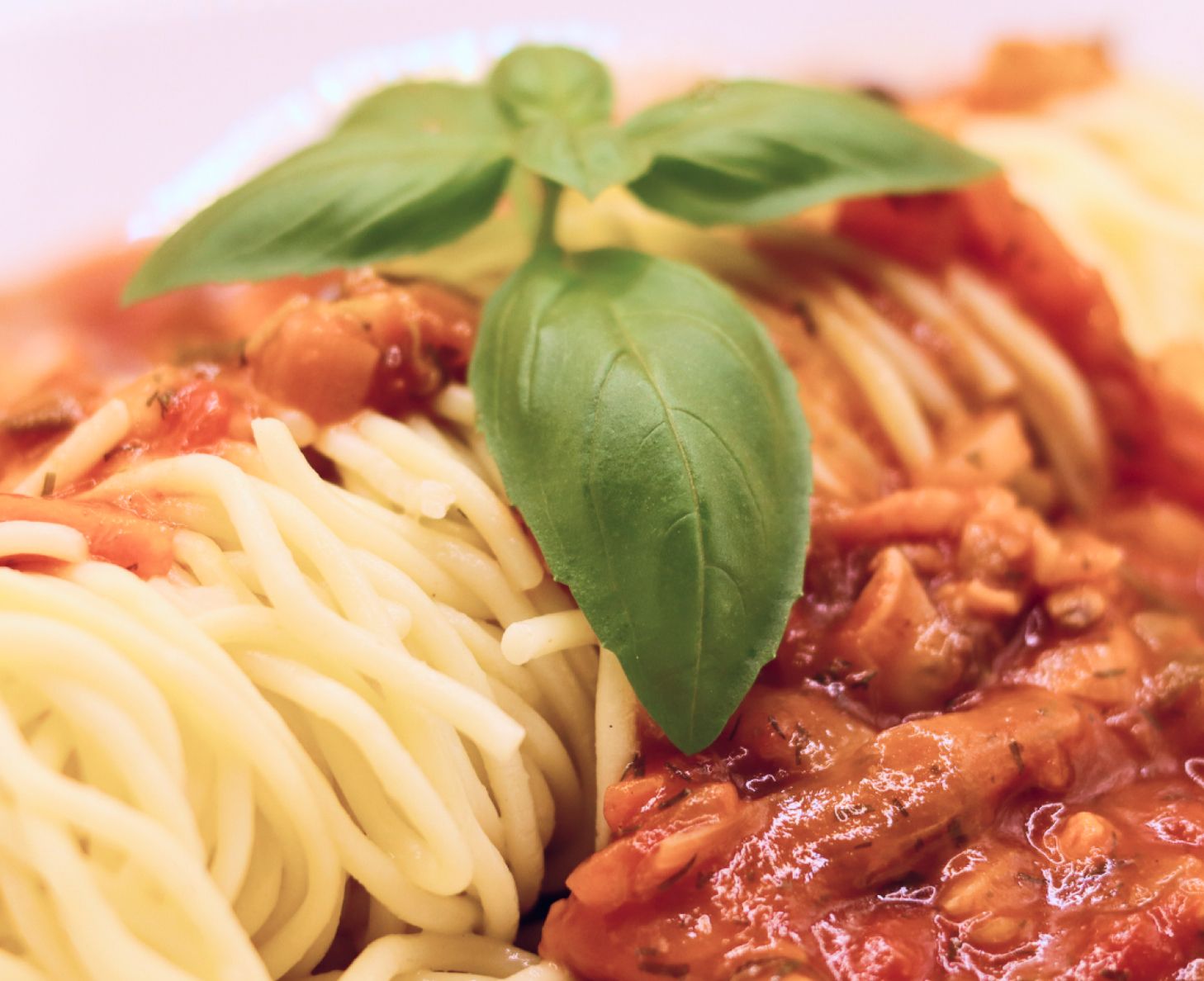 Hausgemachte Spaghetti mit Tomatensoße und Basilikum